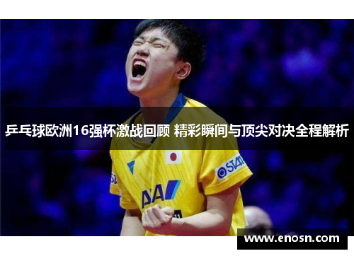 乒乓球欧洲16强杯激战回顾 精彩瞬间与顶尖对决全程解析