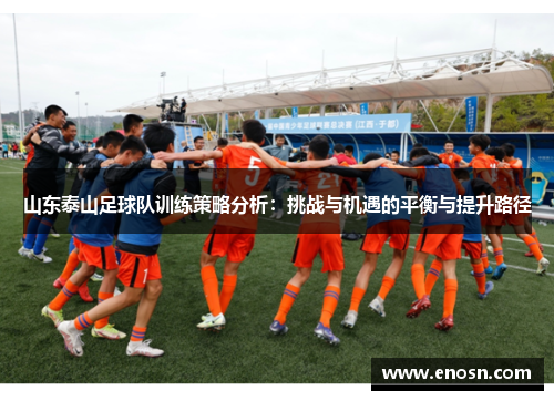 山东泰山足球队训练策略分析：挑战与机遇的平衡与提升路径