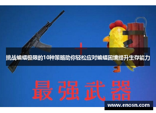 挑战蝙蝠极限的10种策略助你轻松应对蝙蝠困境提升生存能力