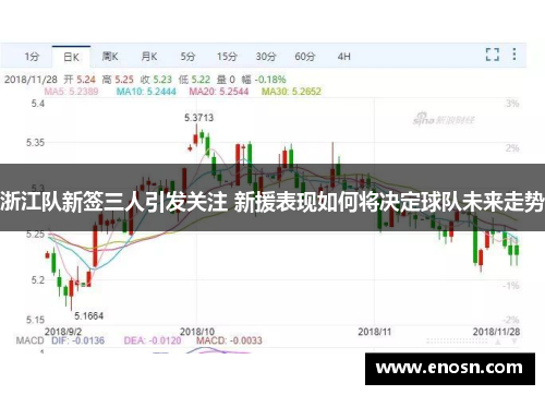 浙江队新签三人引发关注 新援表现如何将决定球队未来走势