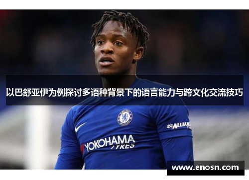 以巴舒亚伊为例探讨多语种背景下的语言能力与跨文化交流技巧
