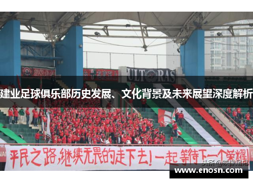 建业足球俱乐部历史发展、文化背景及未来展望深度解析