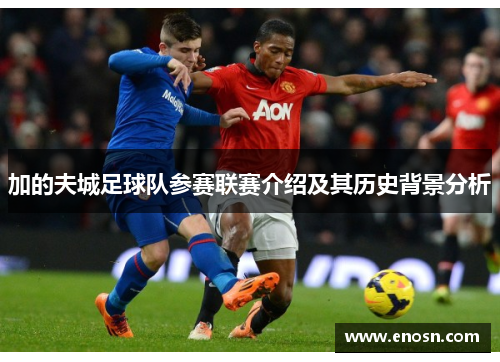加的夫城足球队参赛联赛介绍及其历史背景分析