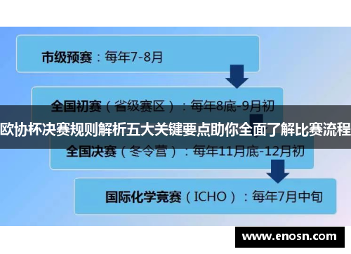 欧协杯决赛规则解析五大关键要点助你全面了解比赛流程