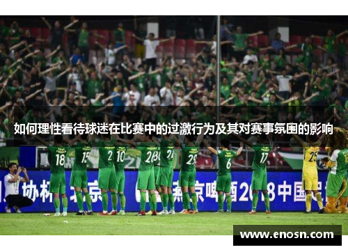 如何理性看待球迷在比赛中的过激行为及其对赛事氛围的影响